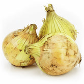 MULTIPACK (kg) - BIO ŽLUTÁ CIBULE (cca 5 kg)